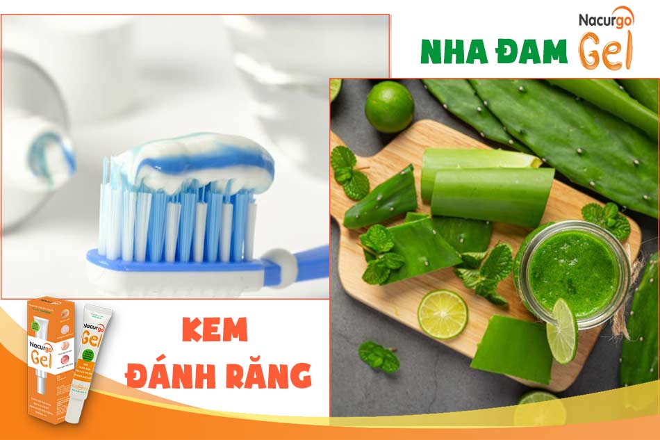 Kem đánh răng và nha đam giúp trị mụn hiệu quả