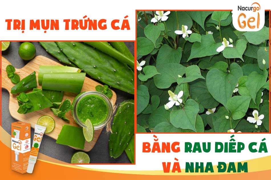 Đắp mặt nạ rau diếp cá và nha đam