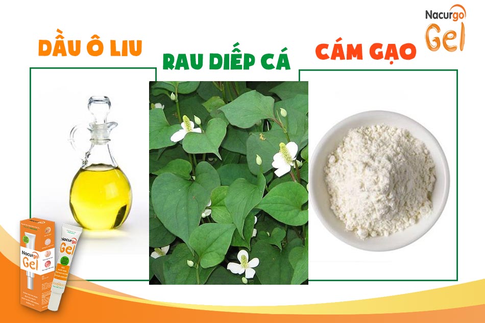 Kết hợp rau diếp cá, dầu ô liu và cám gạo trị mụn