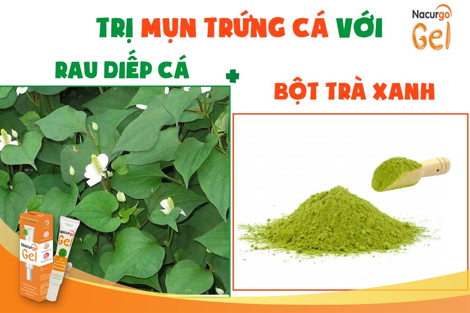 Mặt nạ trị mụn trứng cá bằng rau diếp cá và trà xanh