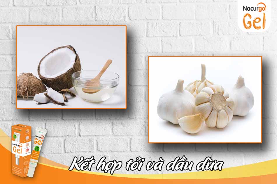 Chữa vết thâm mụn bằng tòi và dầu dừa