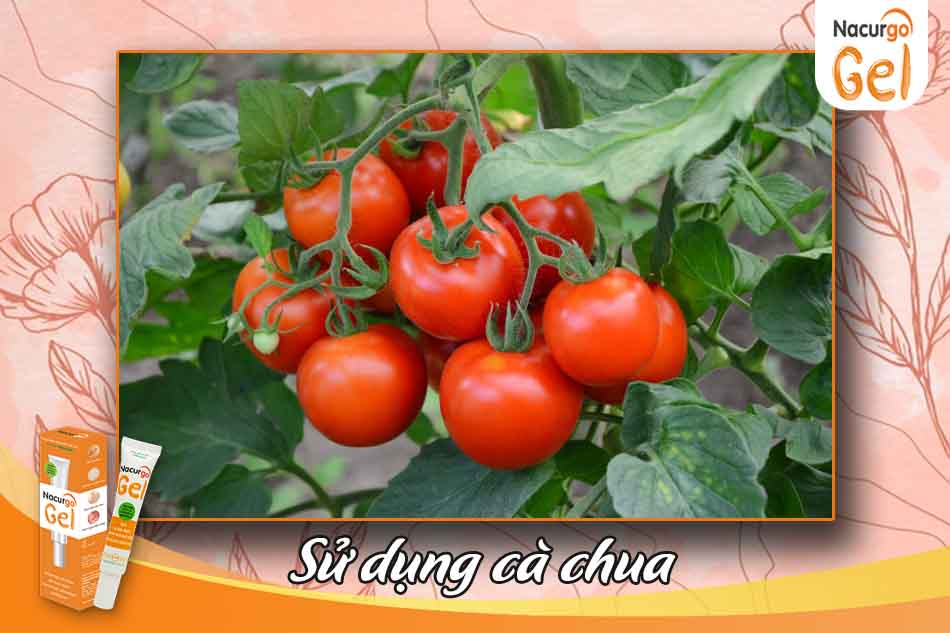 Dùng cà chua trị mụn đầu đen