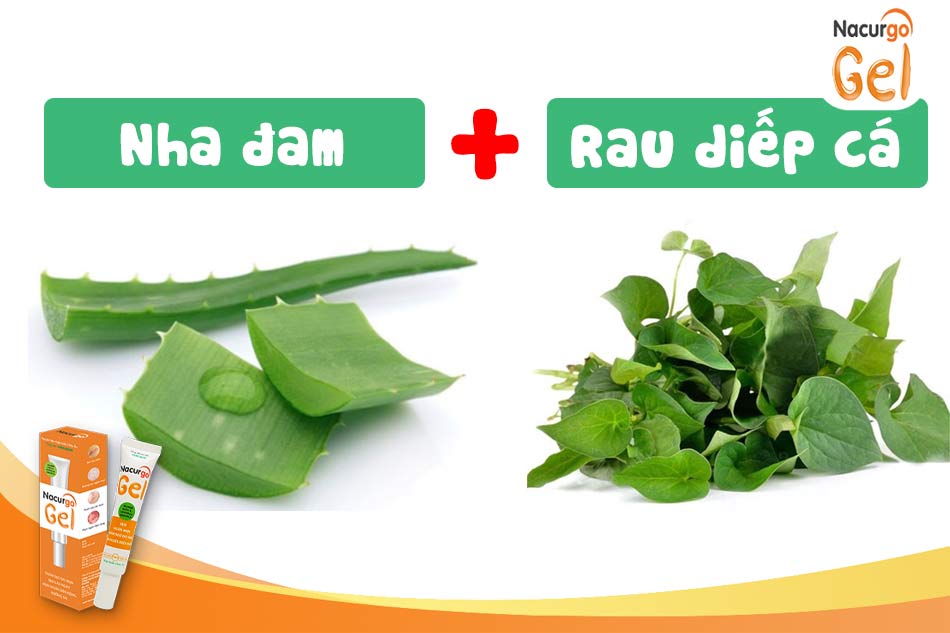 Nha đam kết hợp với rau diếp cá trị mụn 