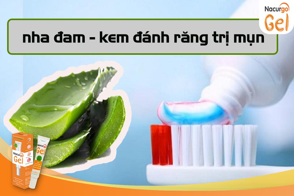 Đánh bay mụn đầu đen với nha đam và kem đánh răng